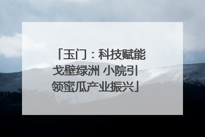 玉门：科技赋能戈壁绿洲 小院引领蜜瓜产业振兴
