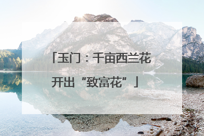 玉门：千亩西兰花开出“致富花”