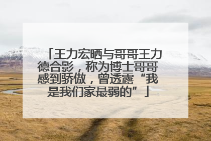 王力宏晒与哥哥王力德合影，称为博士哥哥感到骄傲，曾透露“我是我们家最弱的”