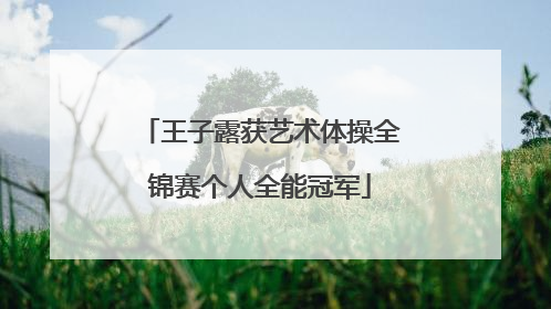 王子露获艺术体操全锦赛个人全能冠军