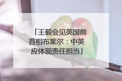 王毅会见英国前首相布莱尔：中英应体现责任担当