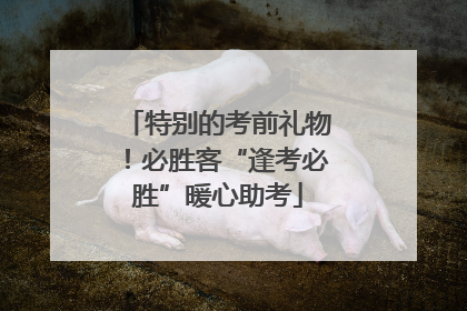 特别的考前礼物！必胜客“逢考必胜”暖心助考
