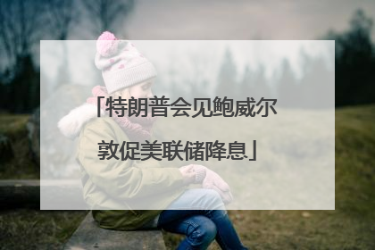 特朗普会见鲍威尔 敦促美联储降息