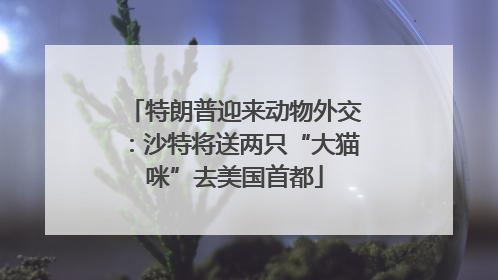 特朗普迎来动物外交：沙特将送两只“大猫咪”去美国首都