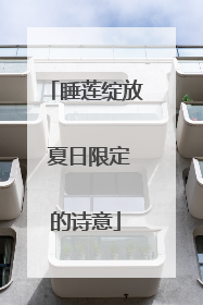 睡莲绽放 夏日限定的诗意