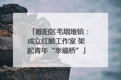睢阳区毛堌堆镇：成立红娘工作室 架起青年“幸福桥”