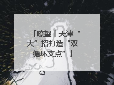 瞭望丨天津“大”招打造“双循环支点”