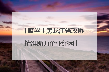 瞭望丨黑龙江省政协精准助力企业纾困