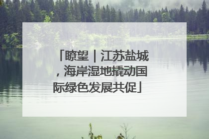 瞭望｜江苏盐城，海岸湿地撬动国际绿色发展共促