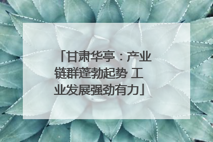 甘肃华亭：产业链群蓬勃起势 工业发展强劲有力
