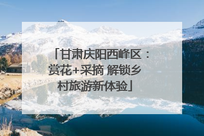 甘肃庆阳西峰区：赏花+采摘 解锁乡村旅游新体验