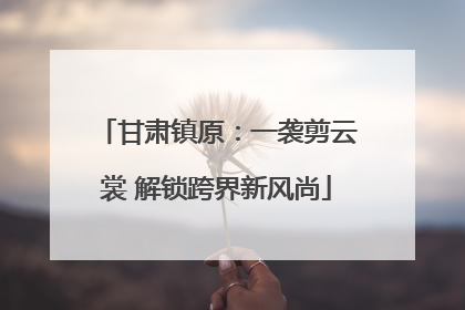 甘肃镇原：一袭剪云裳 解锁跨界新风尚