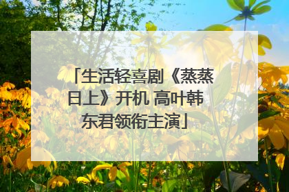 生活轻喜剧《蒸蒸日上》开机 高叶韩东君领衔主演