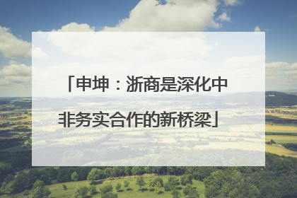 申坤：浙商是深化中非务实合作的新桥梁