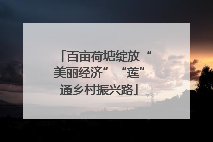 百亩荷塘绽放“美丽经济”“莲”通乡村振兴路