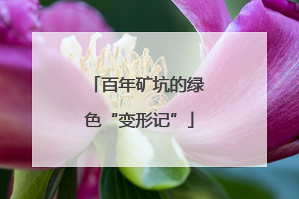 百年矿坑的绿色“变形记”