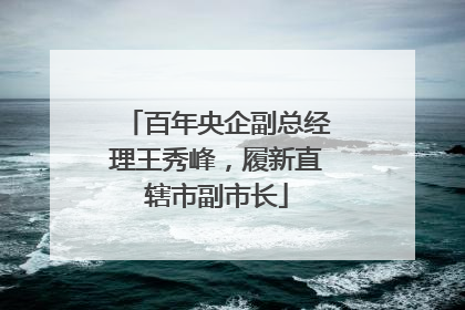 百年央企副总经理王秀峰，履新直辖市副市长