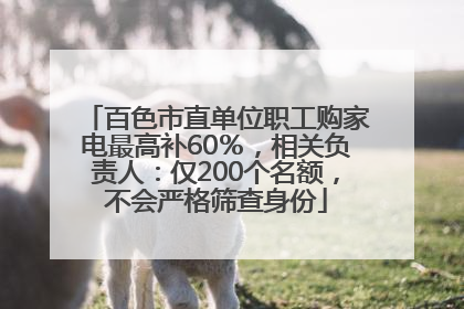 百色市直单位职工购家电最高补60％，相关负责人：仅200个名额，不会严格筛查身份