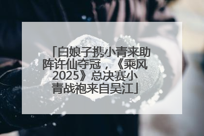 白娘子携小青来助阵许仙夺冠，《乘风2025》总决赛小青战袍来自吴江