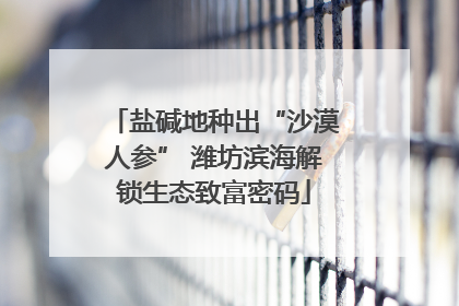 盐碱地种出“沙漠人参” 潍坊滨海解锁生态致富密码