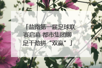 盐南第一届足球联赛启幕 都市集团铆足干劲拼“双赢”