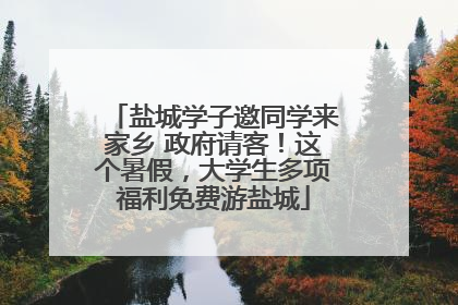 盐城学子邀同学来家乡 政府请客！这个暑假，大学生多项福利免费游盐城