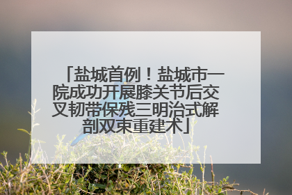 盐城首例！盐城市一院成功开展膝关节后交叉韧带保残三明治式解剖双束重建术