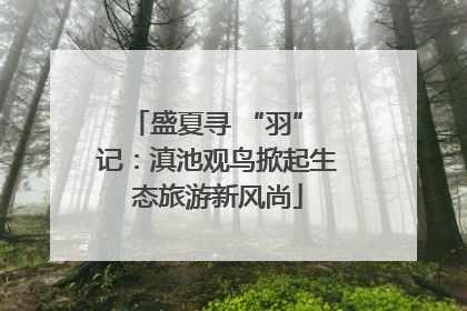 盛夏寻 “羽” 记：滇池观鸟掀起生态旅游新风尚