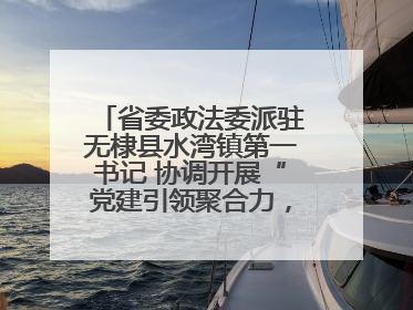 省委政法委派驻无棣县水湾镇第一书记 协调开展“党建引领聚合力，健康义诊惠乡亲”义诊活动