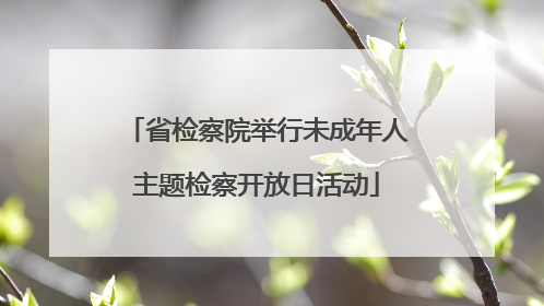 省检察院举行未成年人主题检察开放日活动