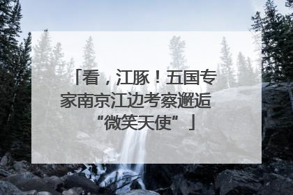 看，江豚！五国专家南京江边考察邂逅“微笑天使”
