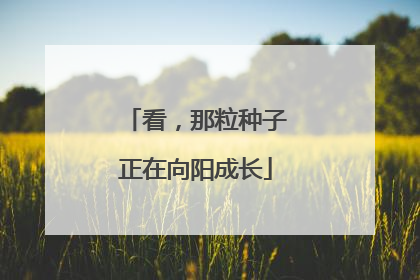 看，那粒种子正在向阳成长