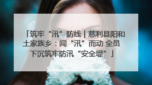 筑牢“汛”防线｜慈利县阳和土家族乡：闻“汛”而动 全员下沉筑牢防汛“安全堤”