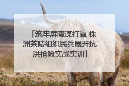 筑牢屏障谋打赢 株洲茶陵组织民兵展开抗洪抢险实战实训