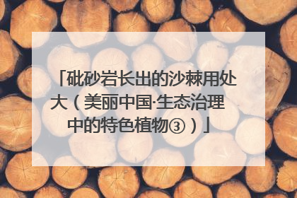 砒砂岩长出的沙棘用处大（美丽中国·生态治理中的特色植物③）
