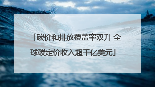 碳价和排放覆盖率双升 全球碳定价收入超千亿美元