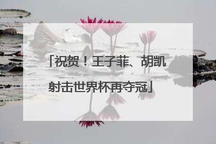 祝贺！王子菲、胡凯射击世界杯再夺冠