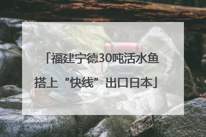 福建宁德30吨活水鱼搭上“快线”出口日本