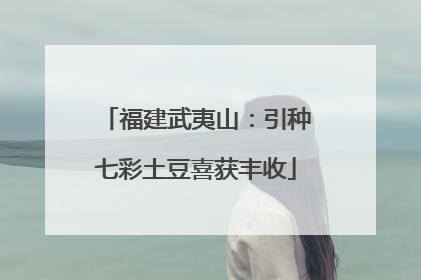 福建武夷山：引种七彩土豆喜获丰收