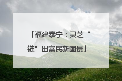 福建泰宁：灵芝“链”出富民新图景