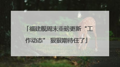 福建舰周末重磅更新“工作动态” 狠狠期待住了
