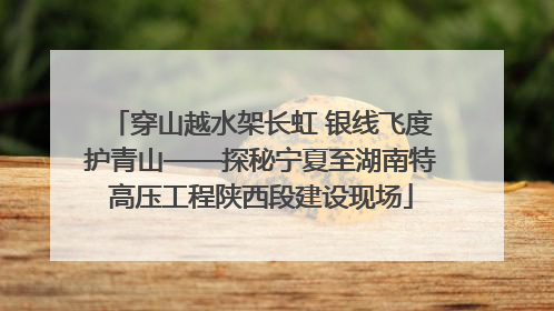 穿山越水架长虹 银线飞度护青山——探秘宁夏至湖南特高压工程陕西段建设现场