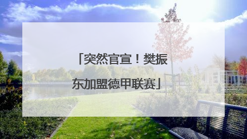 突然官宣！樊振东加盟德甲联赛