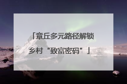 章丘多元路径解锁乡村“致富密码”