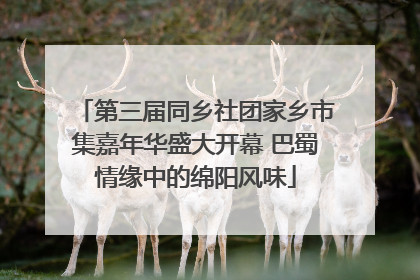 第三届同乡社团家乡市集嘉年华盛大开幕 巴蜀情缘中的绵阳风味