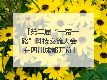 第二届“一带一路”科技交流大会在四川成都开幕