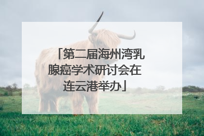 第二届海州湾乳腺癌学术研讨会在连云港举办