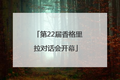 第22届香格里拉对话会开幕