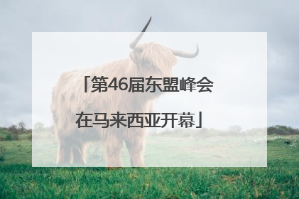 第46届东盟峰会在马来西亚开幕