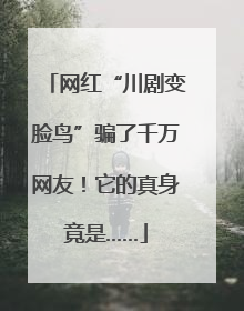 网红“川剧变脸鸟”骗了千万网友！它的真身竟是……